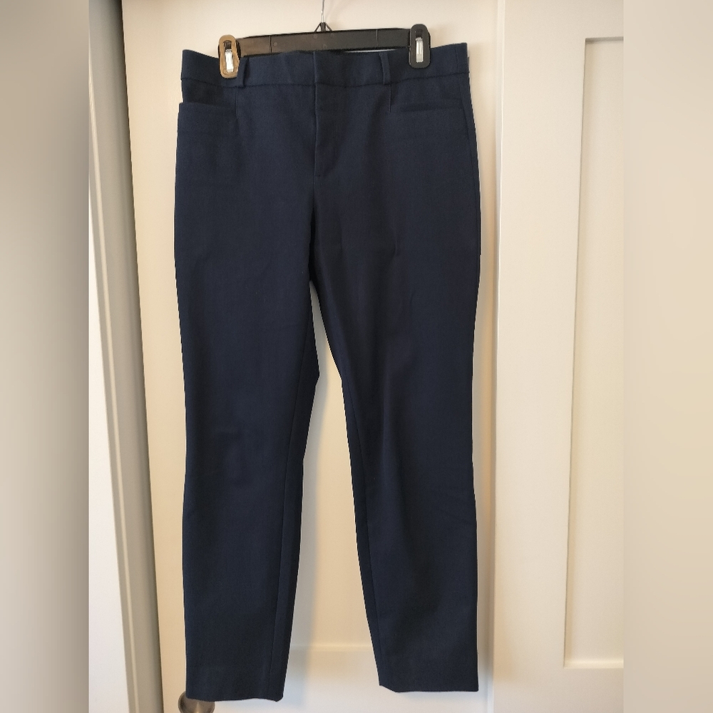 Banana Republic Dark Blue Sloan Pants
